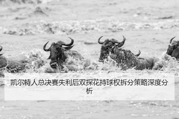 kai-er-te-ren-zong-jue-sai-shi-li-hou-shuang-tan-hua-chi-qiu-quan-chai-fen-ce-lve-shen-du-fen-xi-2-790.jpg